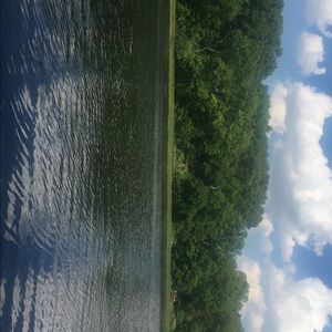 Meet your Posher, Bailey